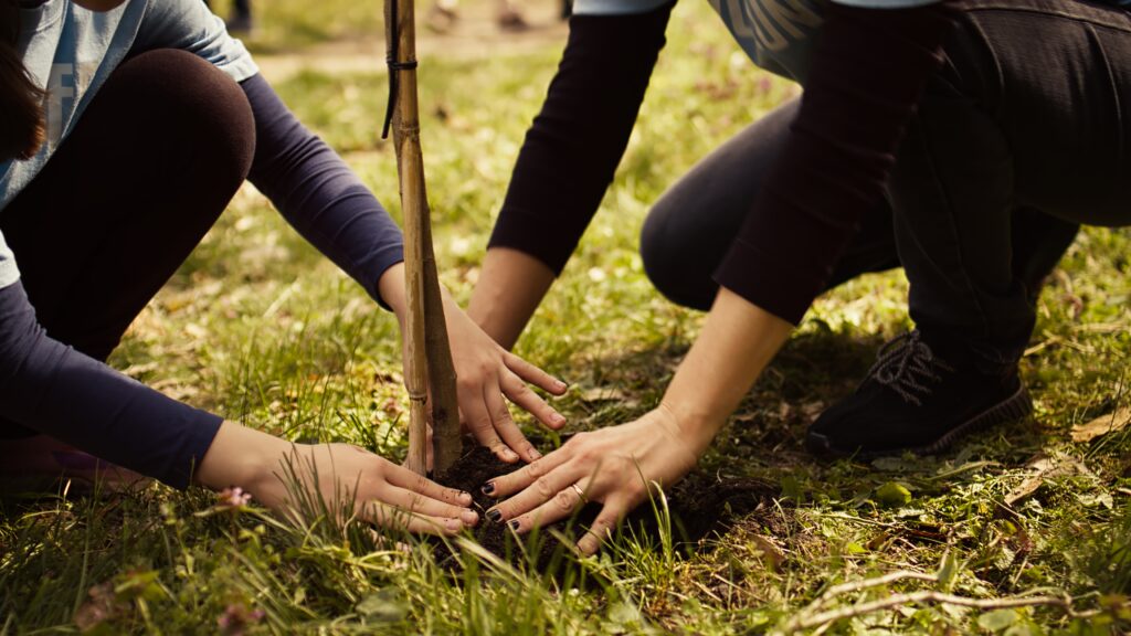 eam building sostenibile a Venezia con attività di piantumazione alberi