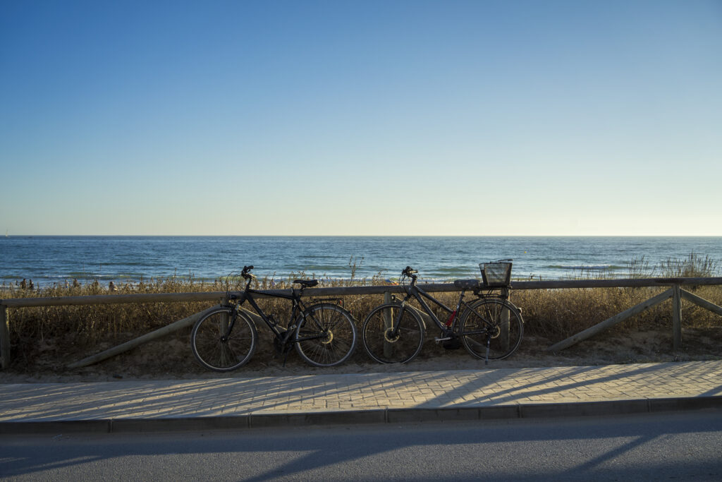 Escursioni in bicicletta a Venezia per team building tra mare e laguna