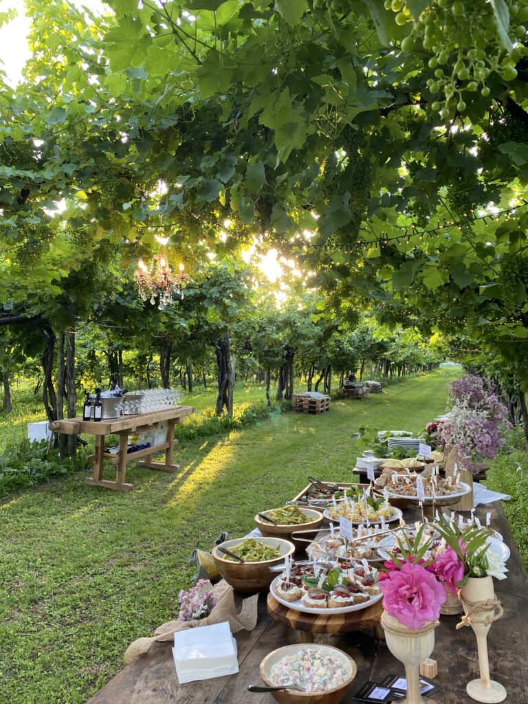 Veneto esplorare: Attività autentiche tra arte, natura e gusto